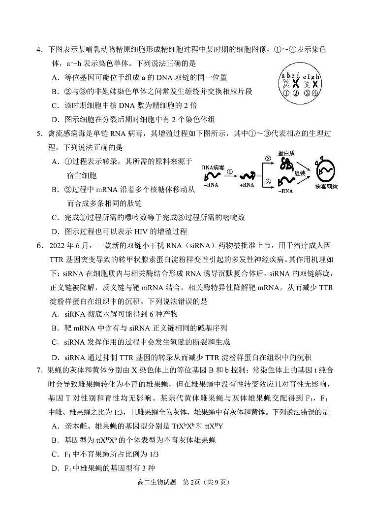2024届山东威海高二下学期（期末考）-生物试题（含答案）第2页