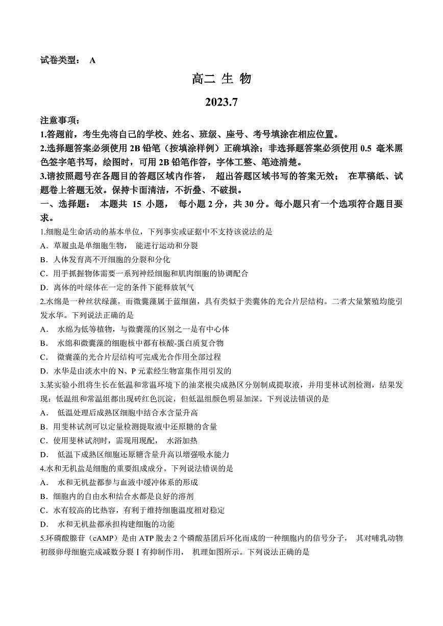 2024届山东潍坊高二下学期（期末考）-生物试题（含答案）第1页
