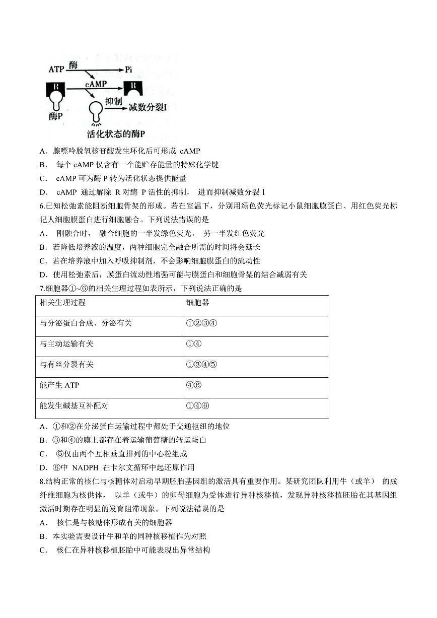 2024届山东潍坊高二下学期（期末考）-生物试题（含答案）第2页