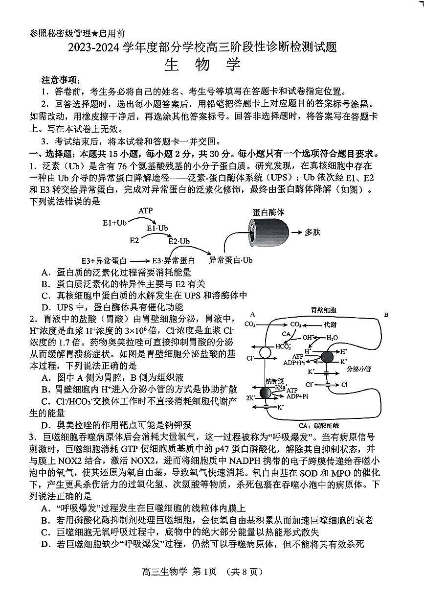 2024届山东淄博高三二模暨阶段诊断考-生物试卷（含答案）第1页