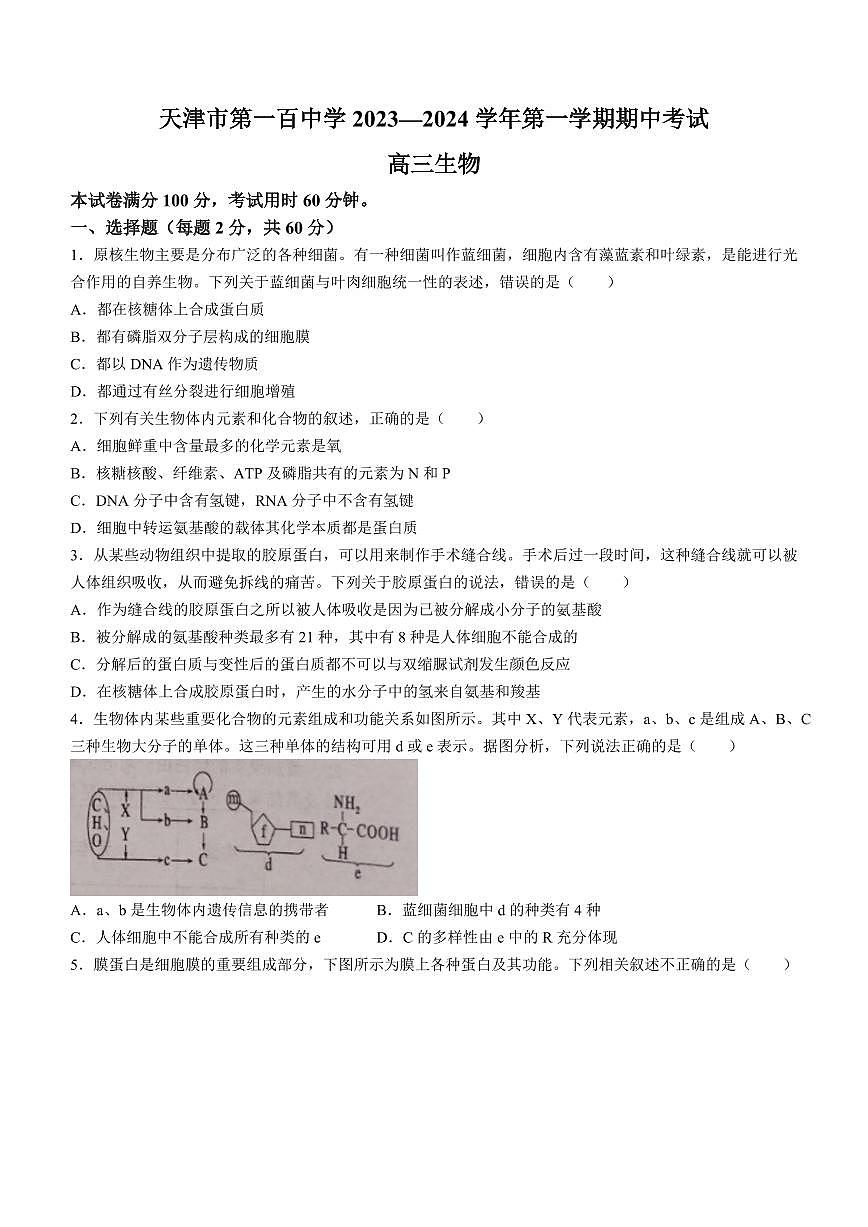2024届天津市第一百中学高三上学期期中考试(11月)-生物试题（含答案）第1页