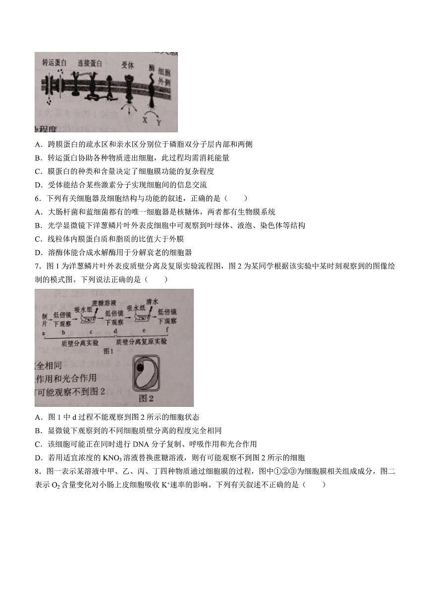 2024届天津市第一百中学高三上学期期中考试(11月)-生物试题（含答案）第2页
