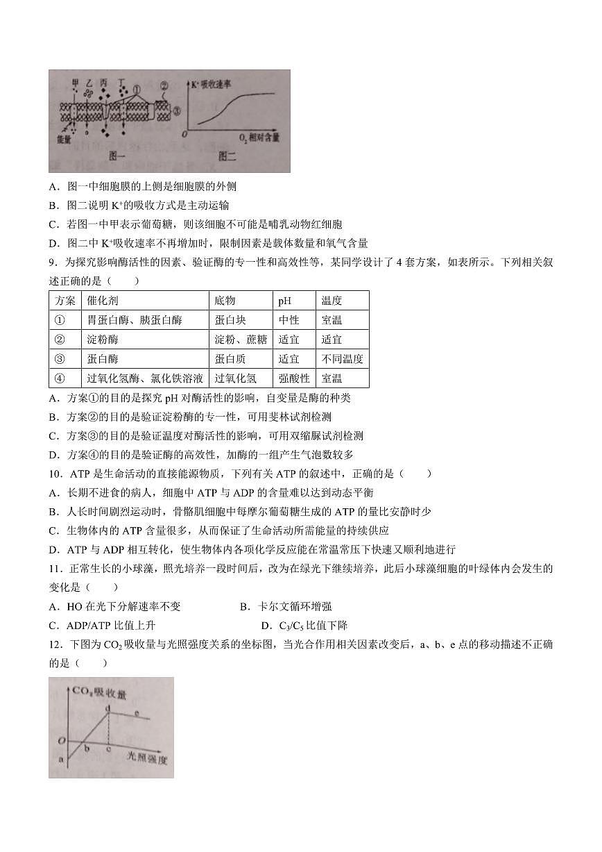 2024届天津市第一百中学高三上学期期中考试(11月)-生物试题（含答案）第3页