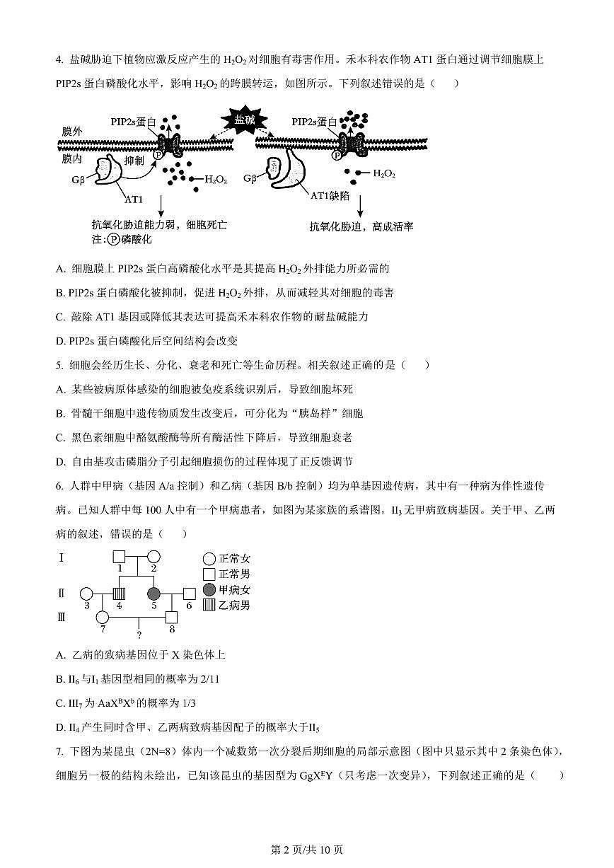 2024届天津市静海区第一中学高三上学期12月月考-生物试题（含答案）第2页
