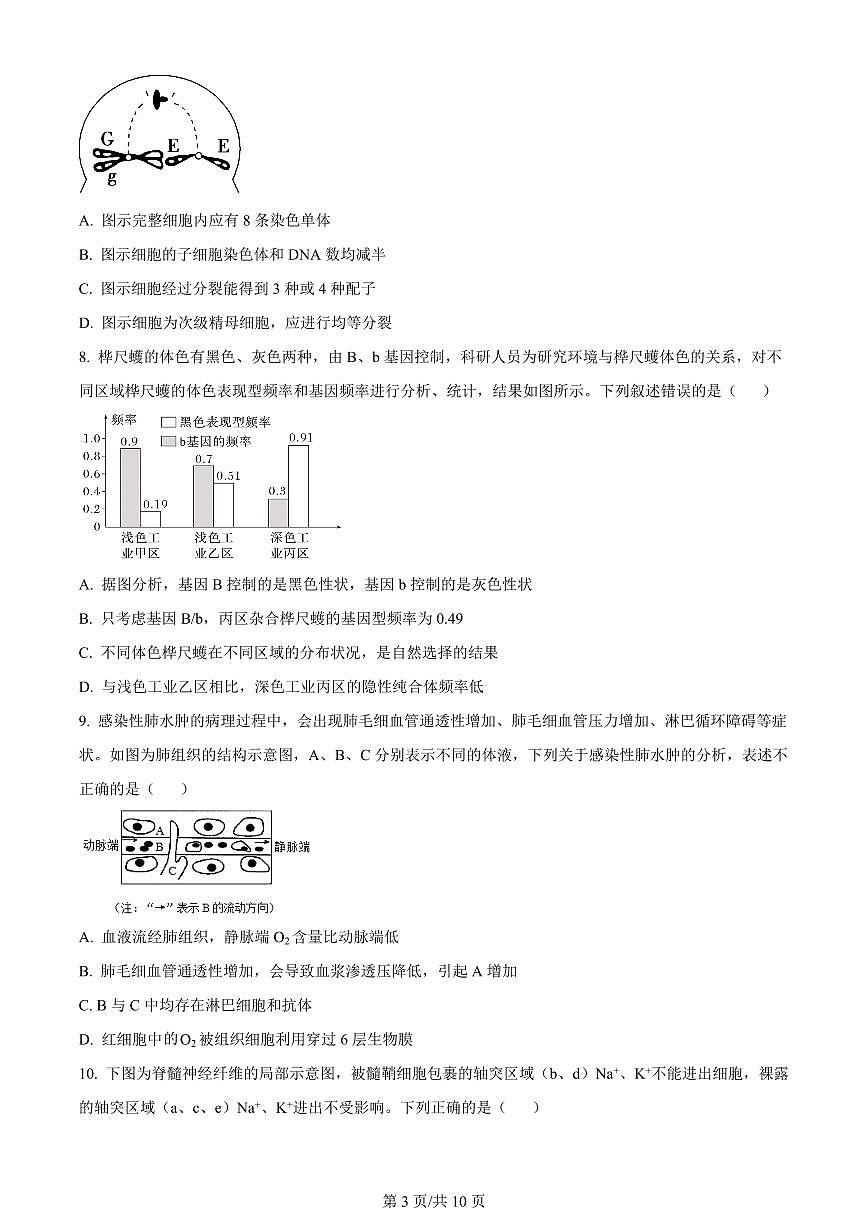 2024届天津市静海区第一中学高三上学期12月月考-生物试题（含答案）第3页