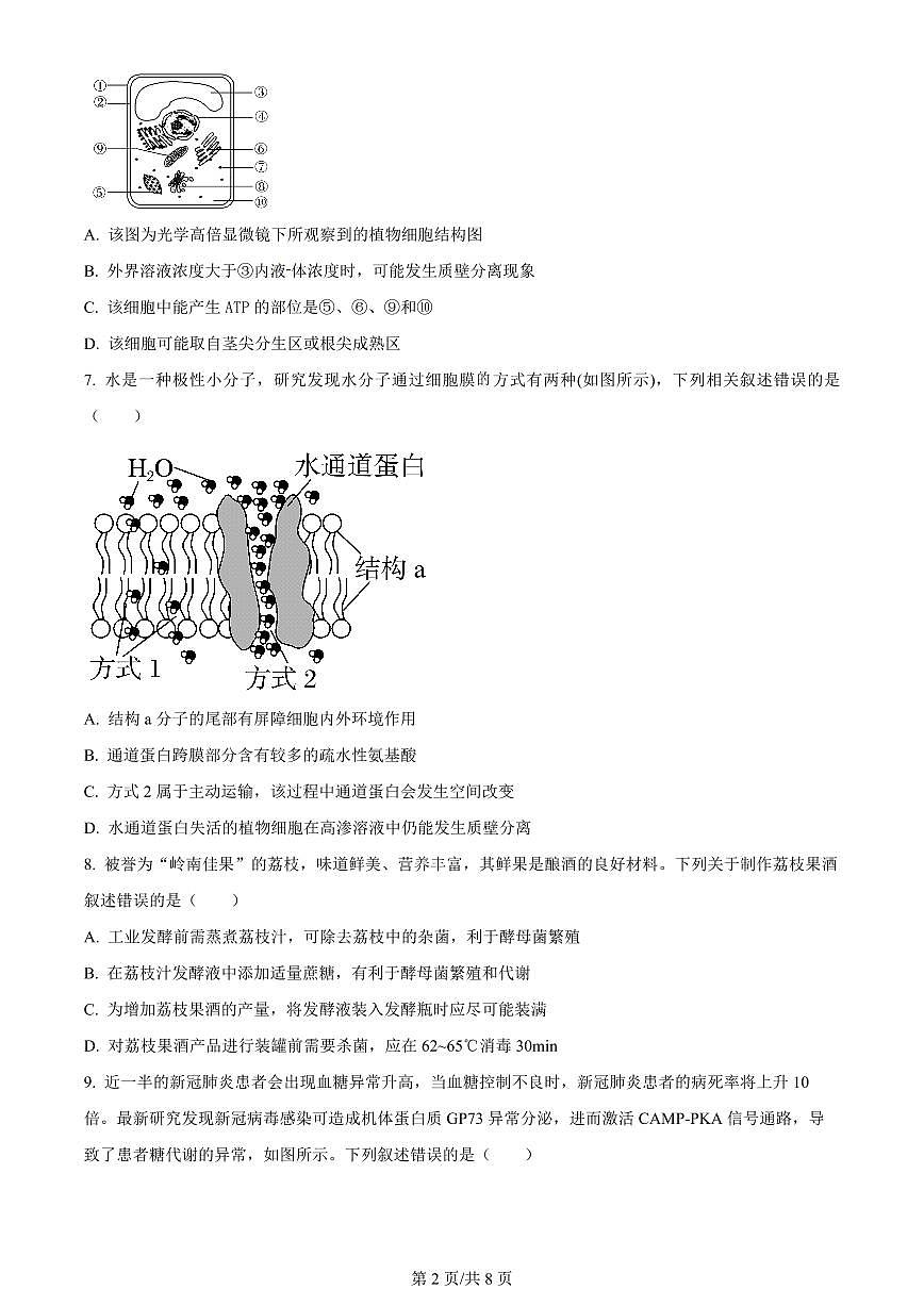 2024届天津市武清区杨村第一中学高三上学期开学检测-生物试题（含答案）第2页