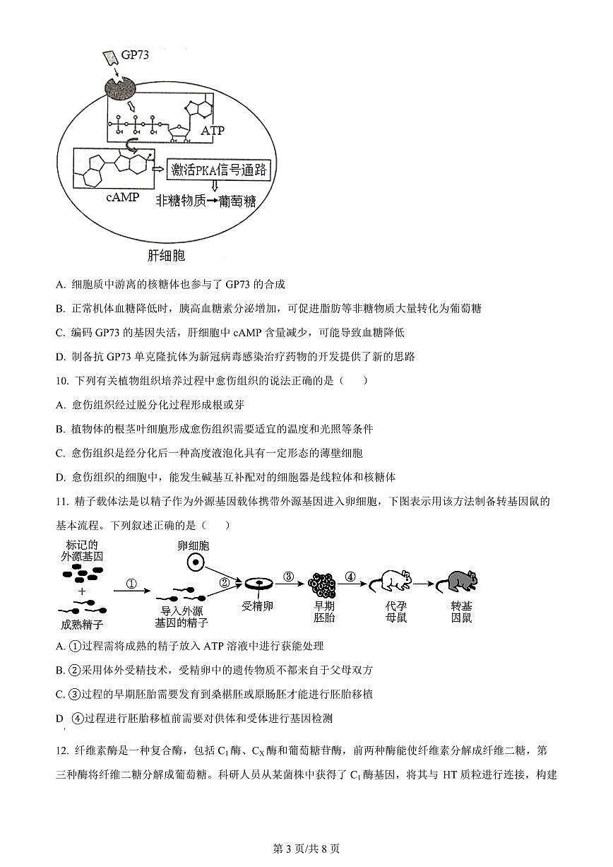 2024届天津市武清区杨村第一中学高三上学期开学检测-生物试题（含答案）第3页