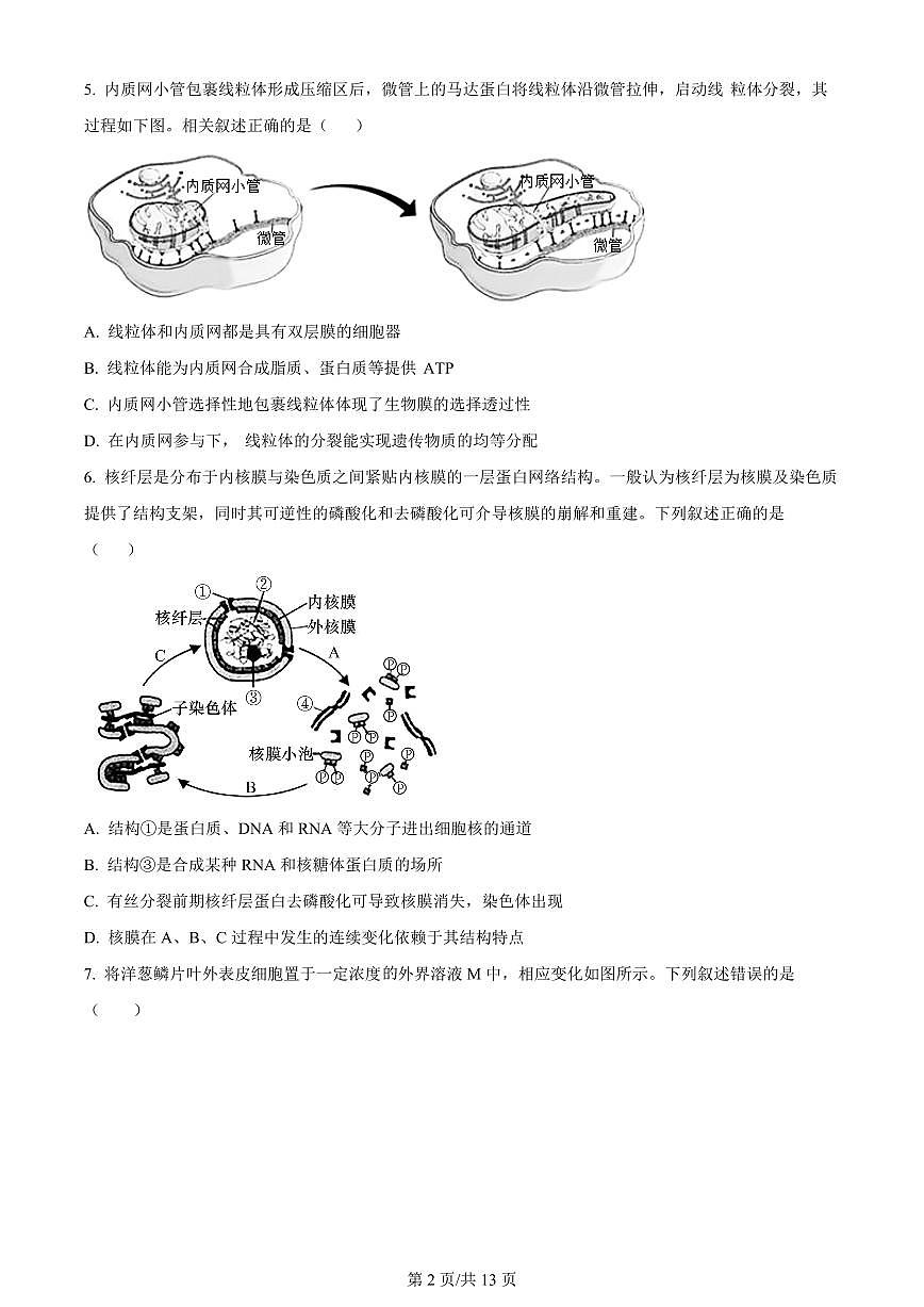 2024届天津市耀华中学高三上学期10月月考-生物试题（含答案）第2页