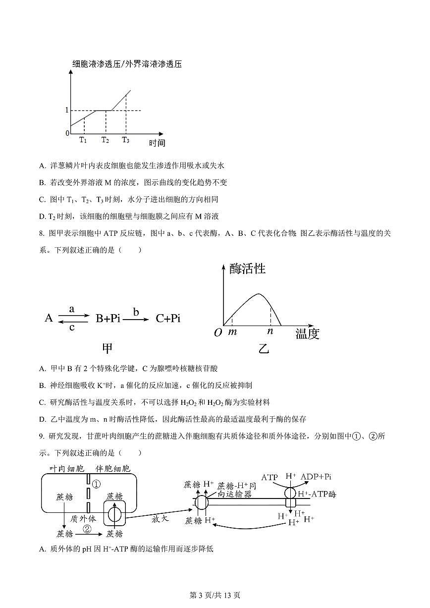 2024届天津市耀华中学高三上学期10月月考-生物试题（含答案）第3页