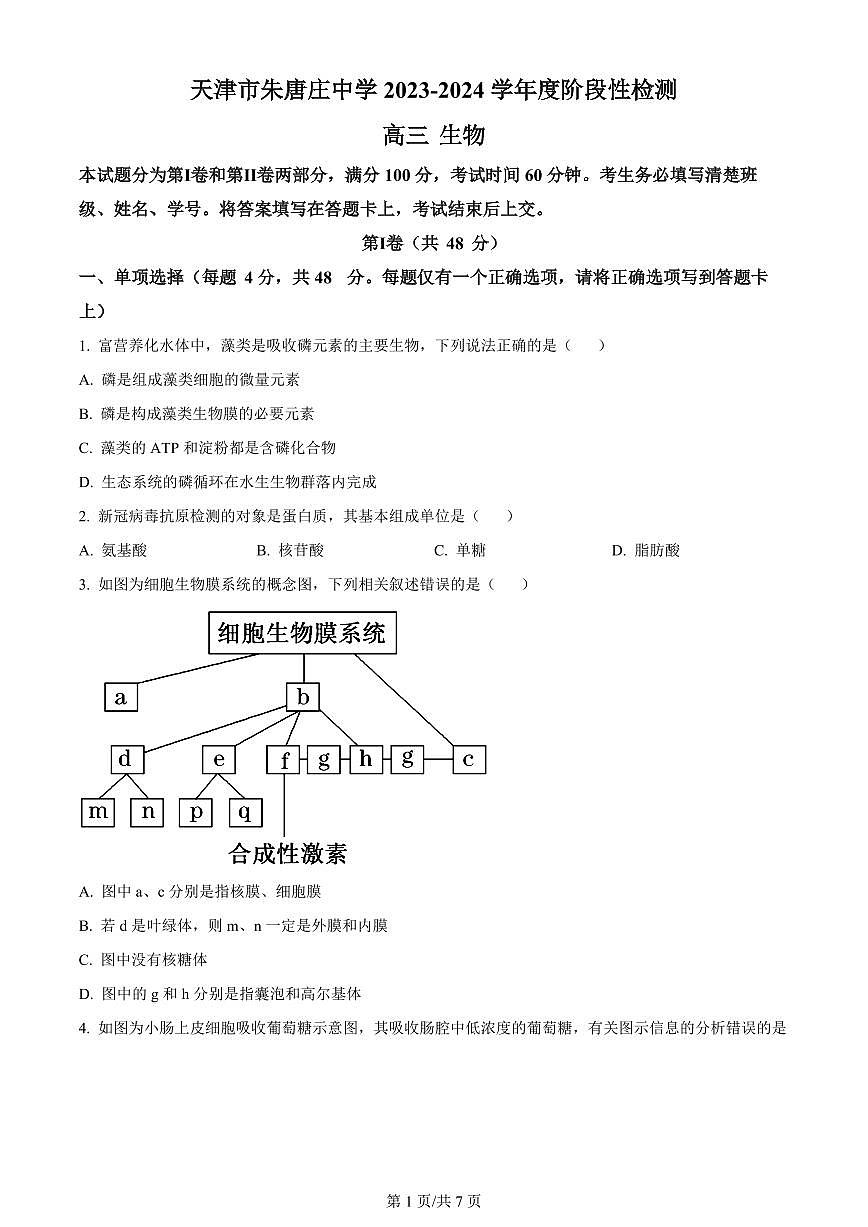 2024届天津市朱唐庄中学高三上学期10月第一次检测-生物试题（含答案）第1页