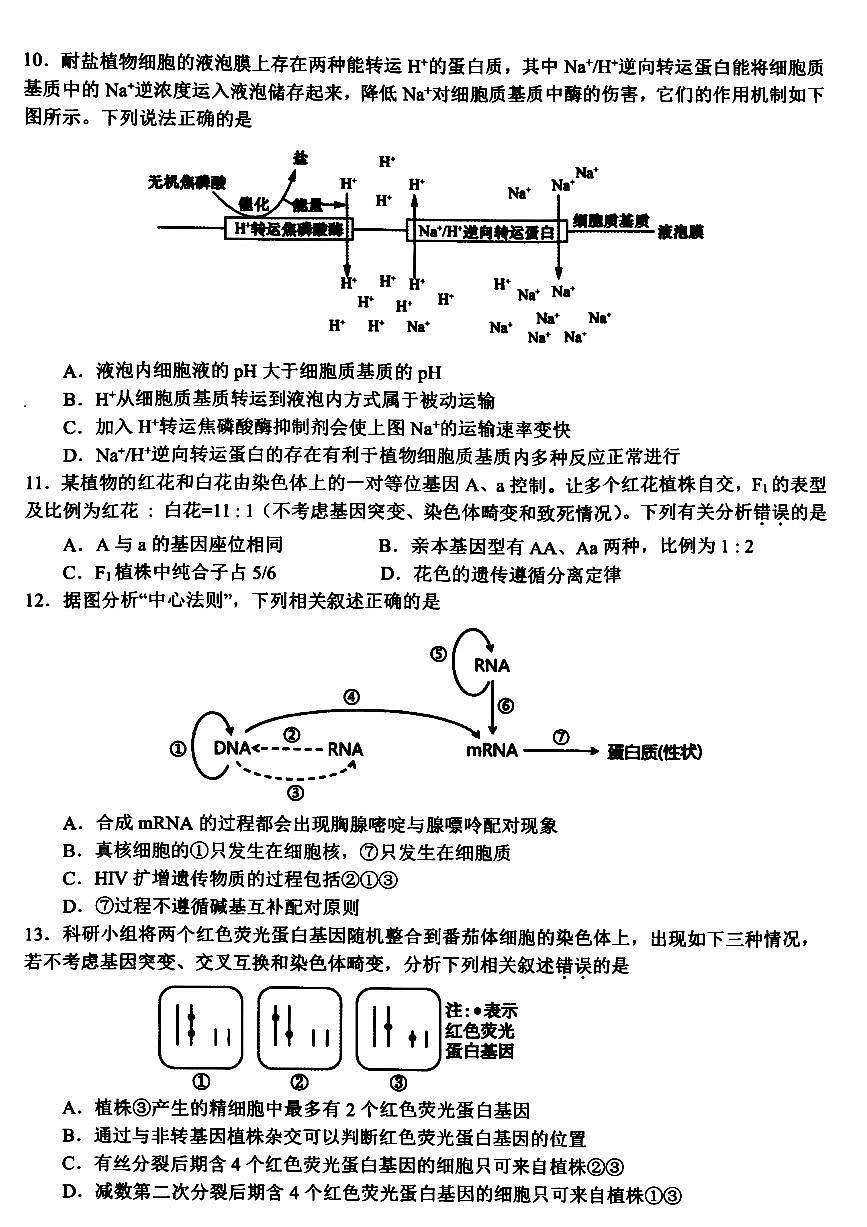 2024届浙江省名校协作体高三下学期开学联考(2月)-生物试题（含答案）第3页
