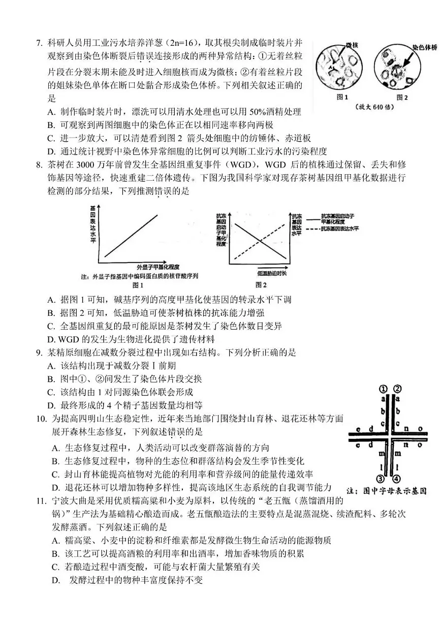 2024届浙江省宁波市高三下学期二模-生物试卷（含答案）第2页