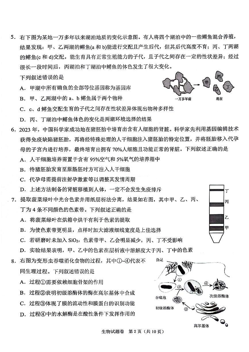 2024届浙江省绍兴市高三下学期4月二模考试-生物试卷（含答案）第2页