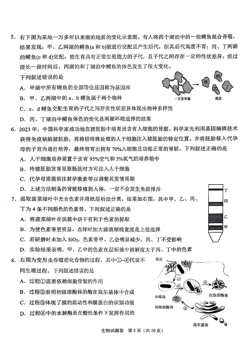 2024届浙江省绍兴市高三下学期4月二模考试-生物试卷（含答案）第2页