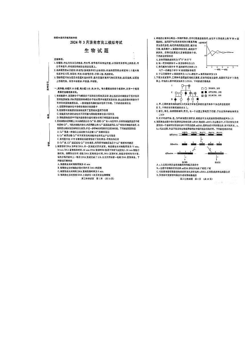 2024山东省济南一模高三模拟考试-生物试卷（含答案）第1页