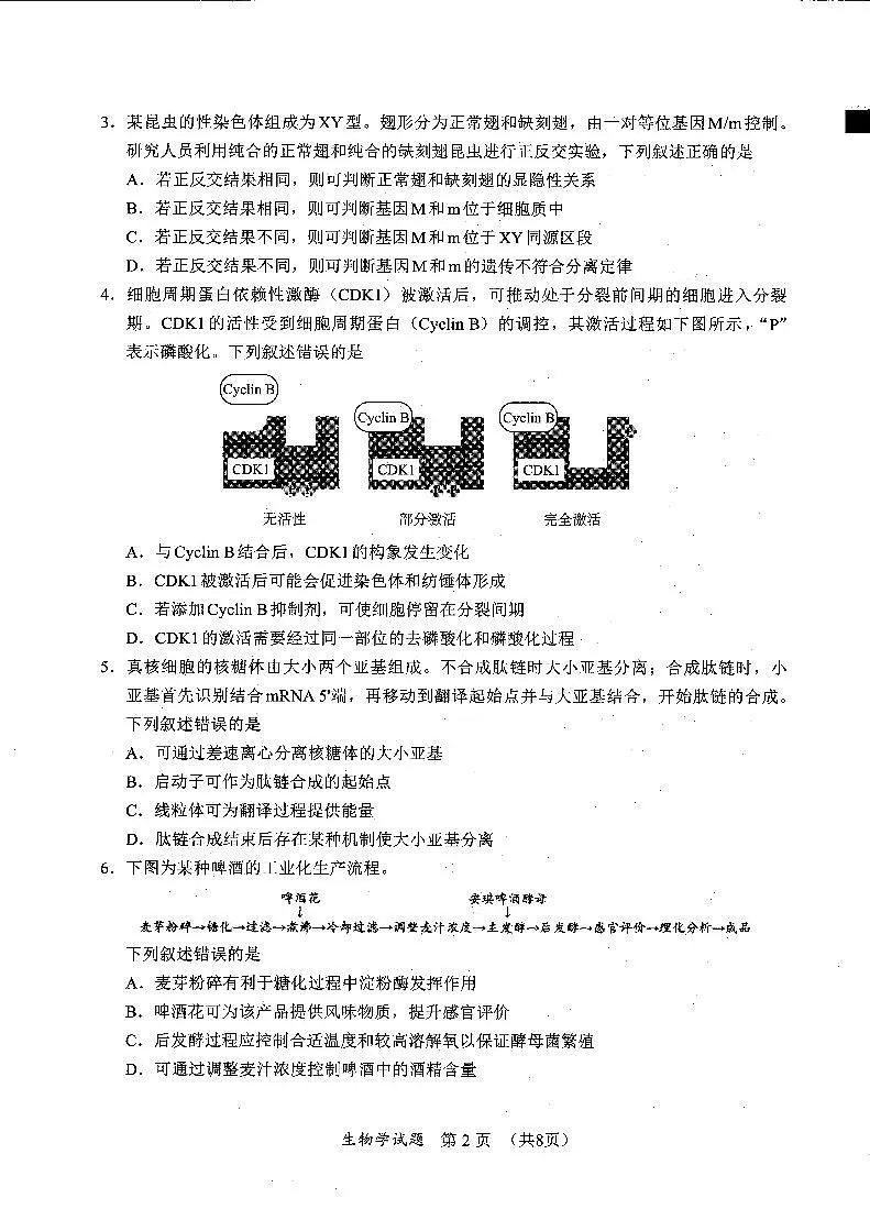 2025福建省六市高三第一次质量检测生物试卷（含答案）第2页
