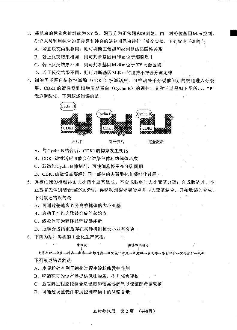 2025福建省六市高三第一次质量检测生物试卷（含答案）第2页