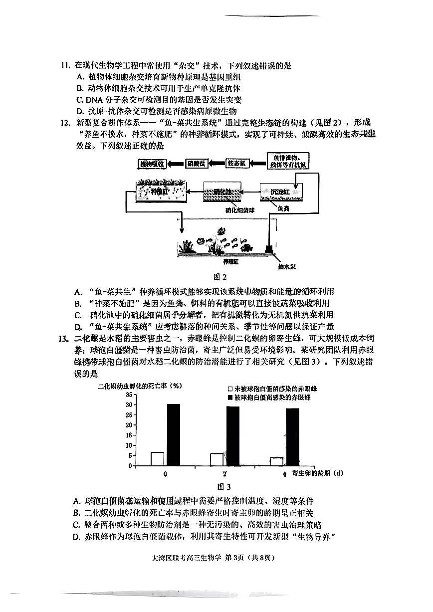 2025届广东省大湾区普通高中毕业年级联合模拟考试(一)生物试卷（含答案）第3页