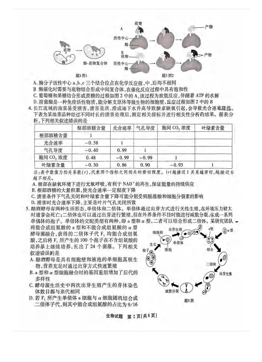 2025重庆市南开中学高三第五次质量检测生物试卷（含答案）第2页