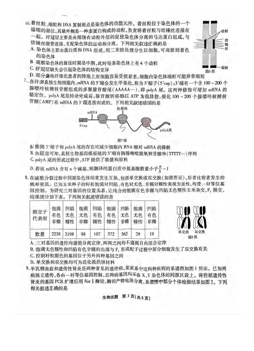 2025重庆市南开中学高三第五次质量检测生物试卷（含答案）第3页
