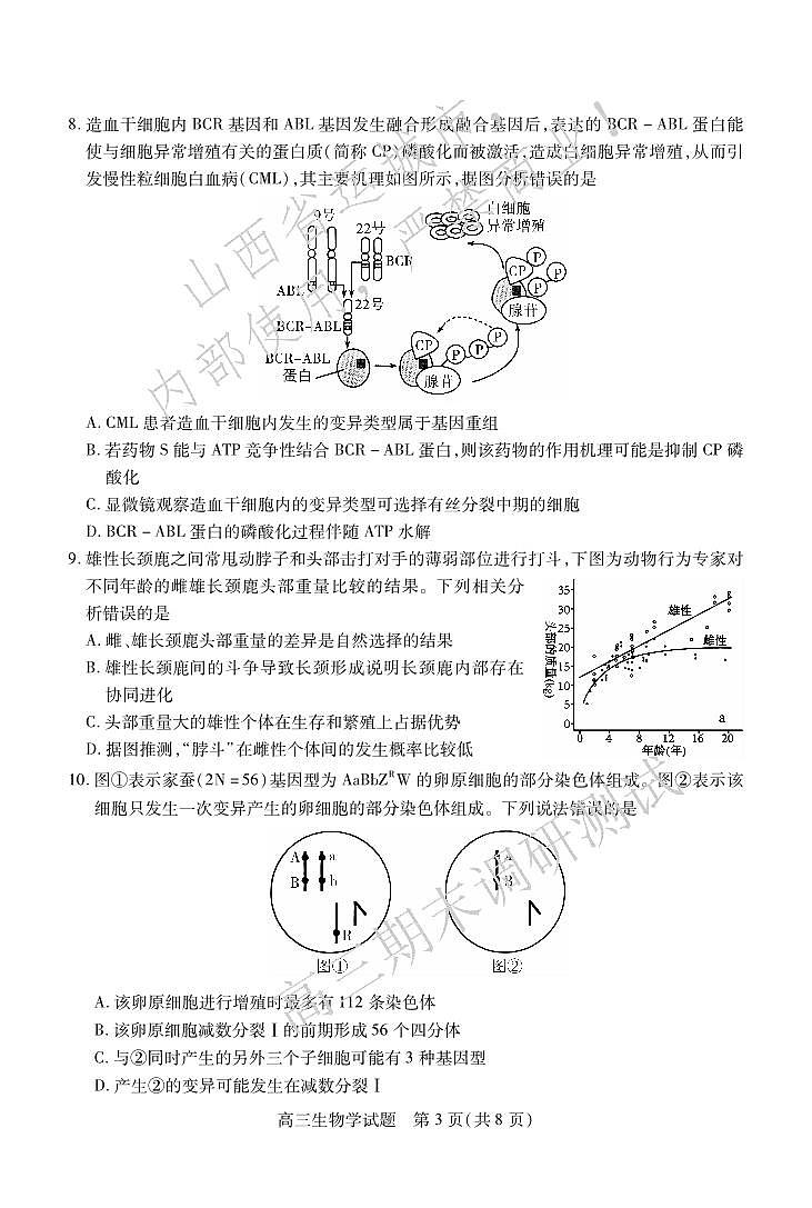 2025山西省运城市高三第一学期期末调研测试-生物试卷（含答案）第3页