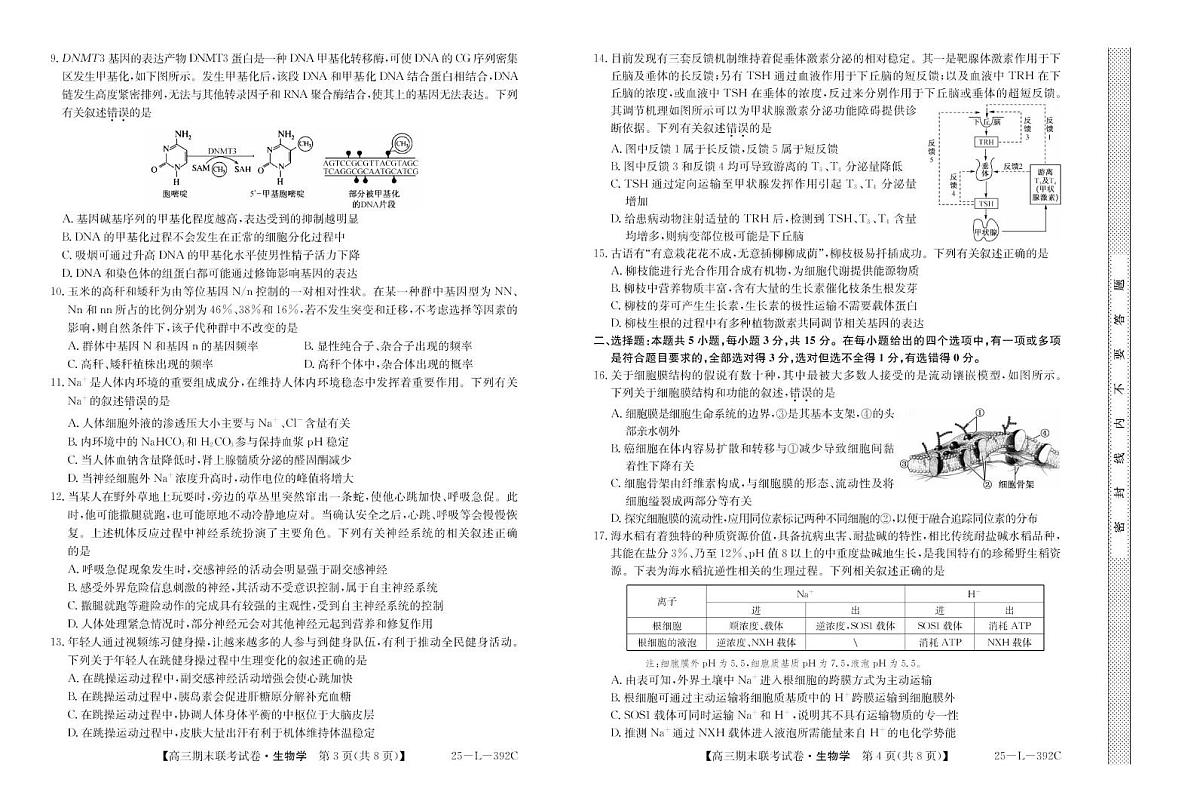 2025内蒙古鄂尔多斯西四旗高三上学期期末联考 生物试卷（含答案）第2页