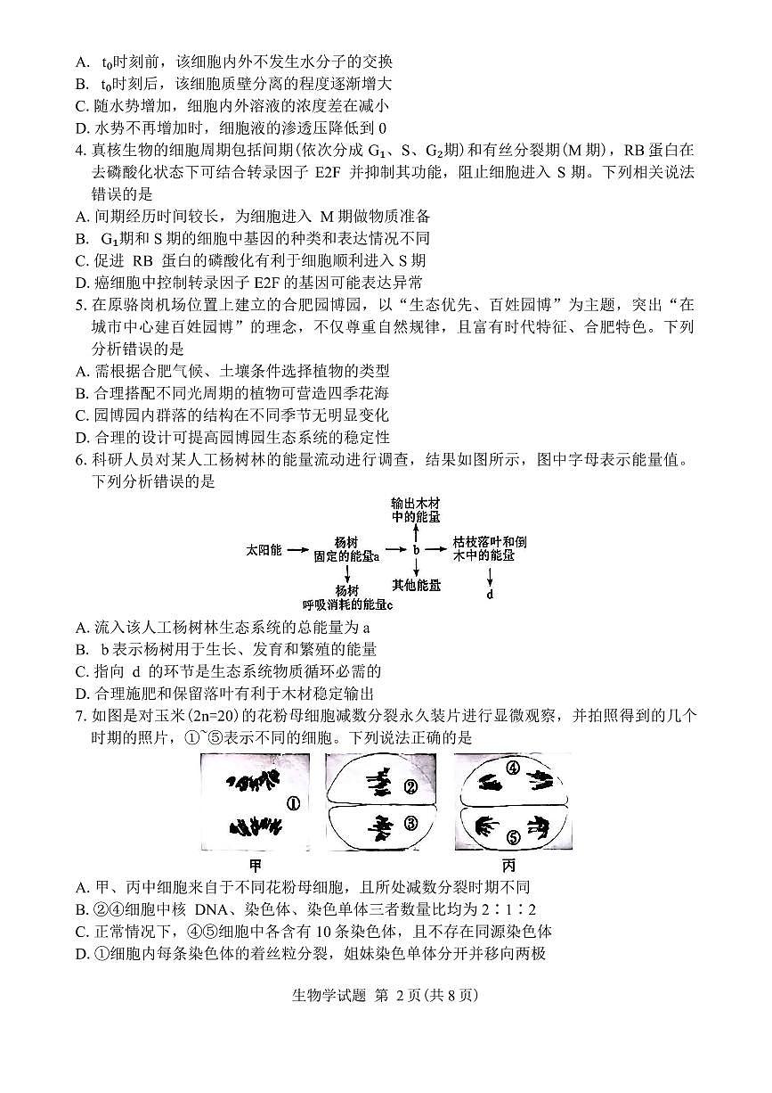 安徽省合肥市2025届高三第一次教学质量检测生物试卷（含答案）第2页