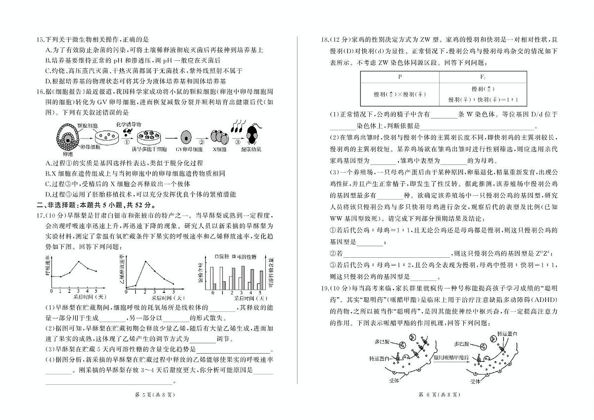 甘肃省部分学校2025届高三上学期第一次联考（期末）生物试卷（含解析）第3页