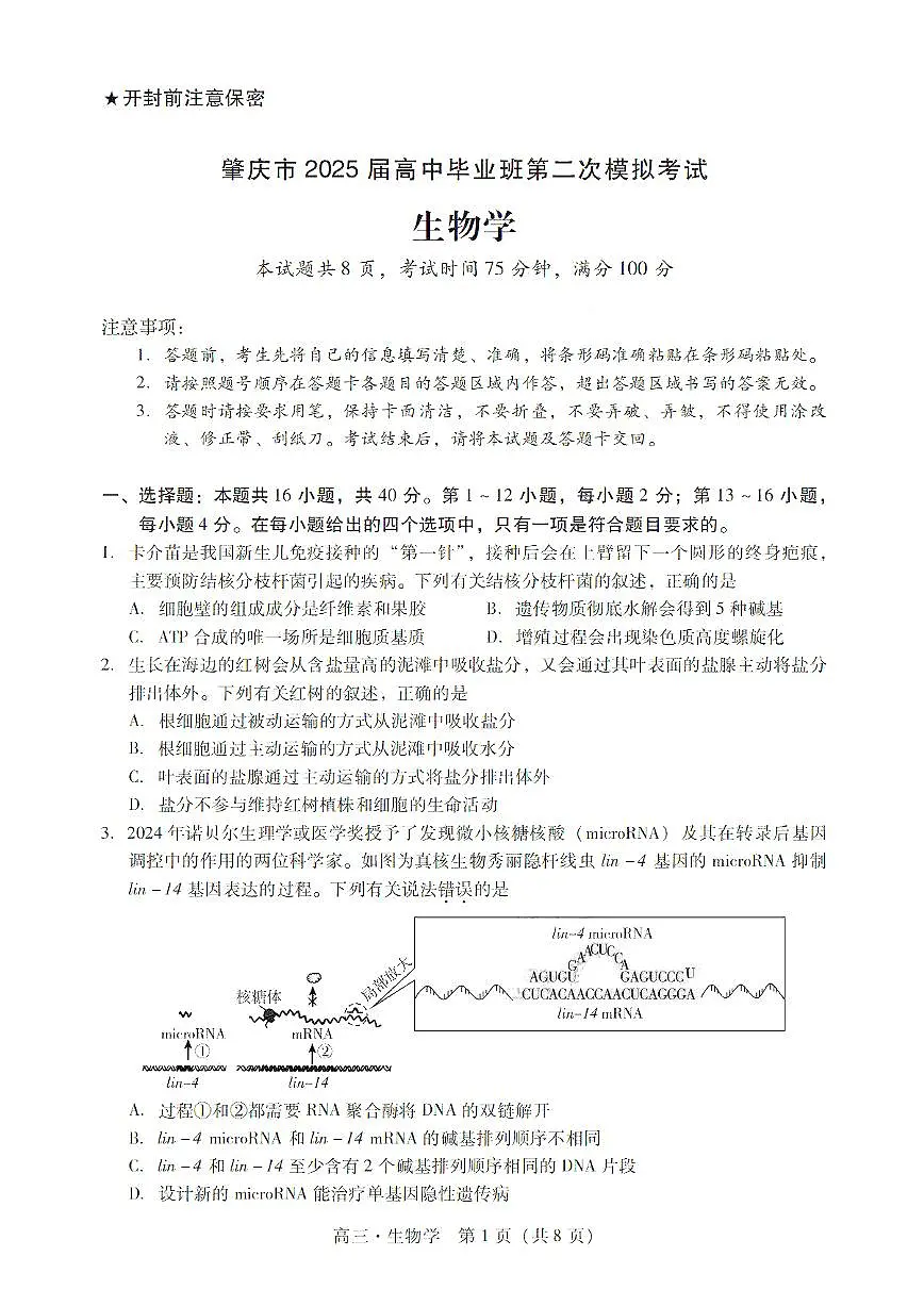 广东省肇庆市肇庆2025届高中毕业班第二次模拟考试 生物试卷（含答案）第1页