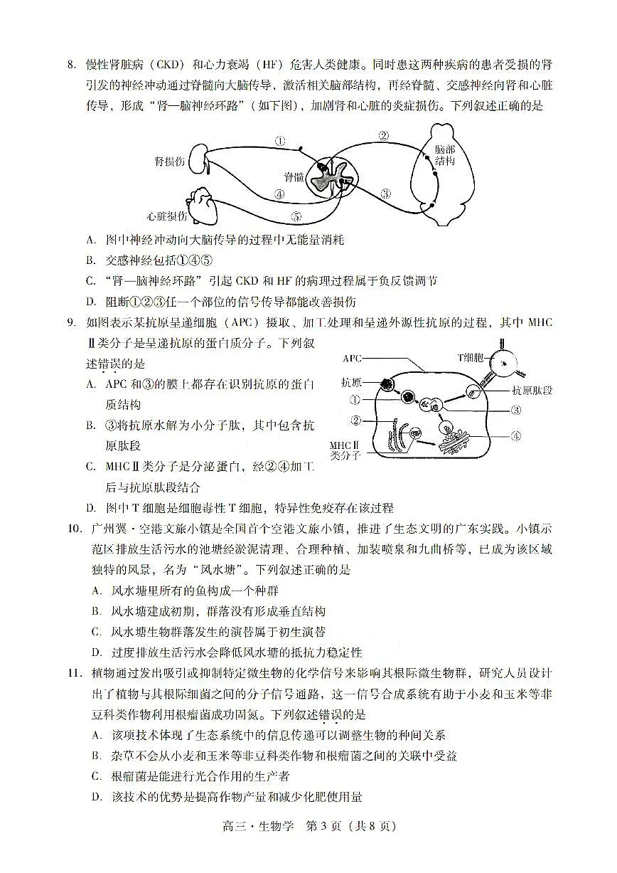 广东省肇庆市肇庆2025届高中毕业班第二次模拟考试 生物试卷（含答案）第3页