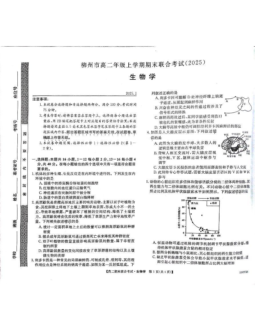 广西柳州2024-2025秋季高二上学期期末(1月开考)生物试卷（含答案）第1页