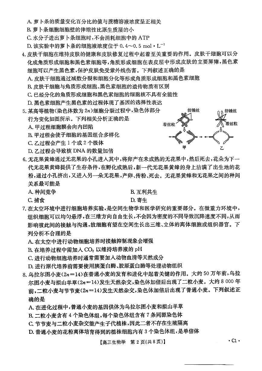 河北省邢台市金太阳2025届高三上学期12月联考生物试卷（含答案）第2页