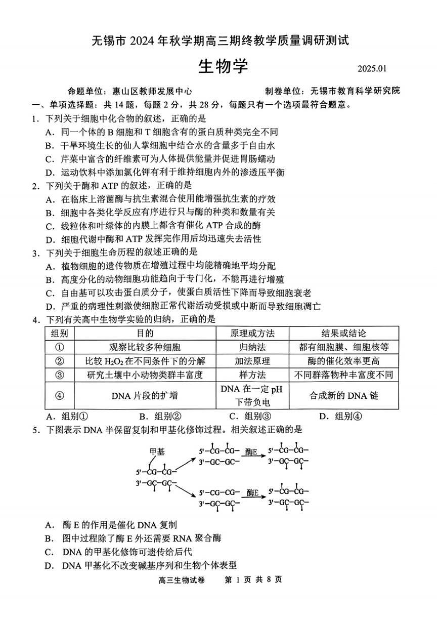 江苏省无锡市2024年秋季学期上学期高三期终教学质量调研测试 生物试卷（含答案）第1页