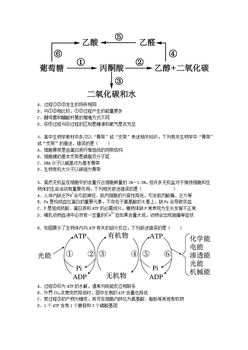 山西省阳泉市2024-2025学年高一下学期期中考生物试卷+答案第2页