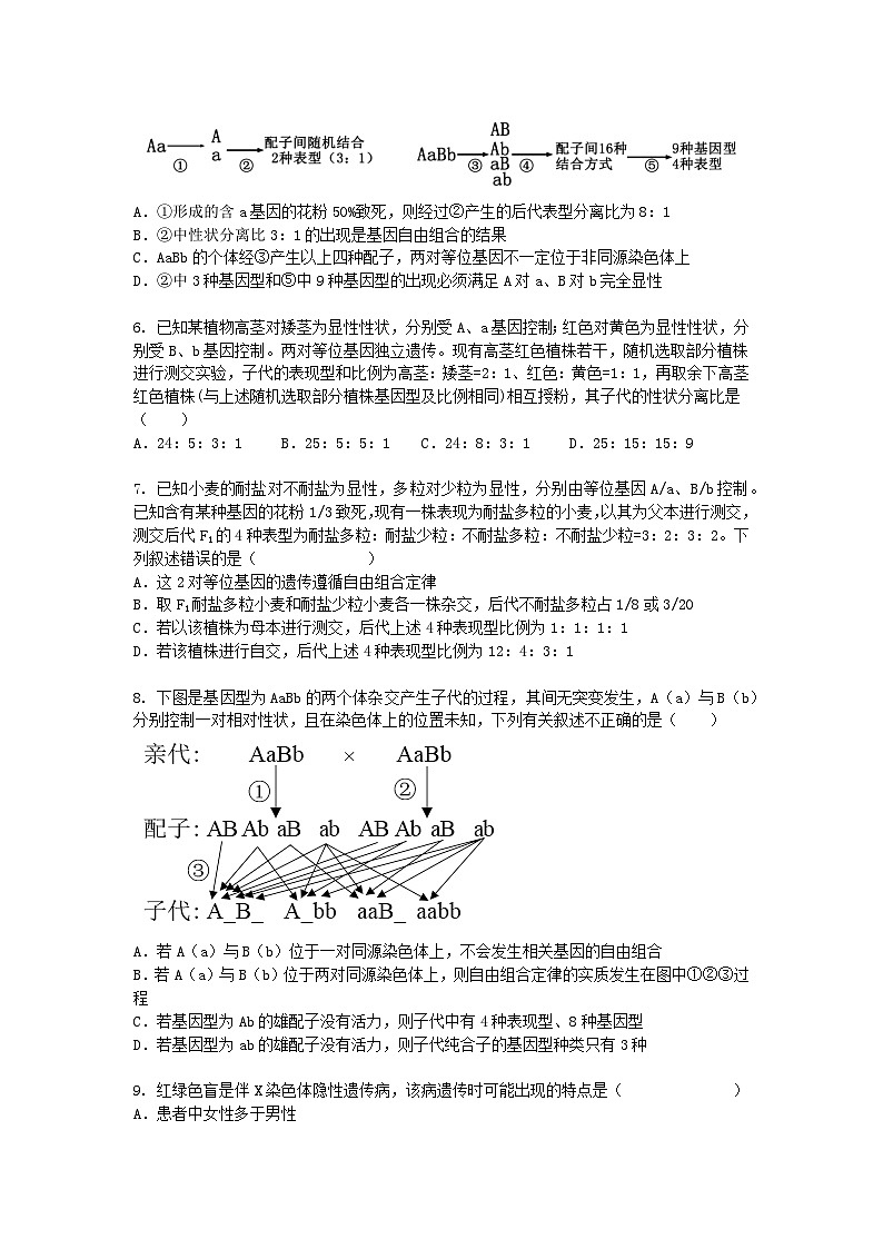 天津市2024-2025学年高一下学期期中考生物试卷+答案第2页