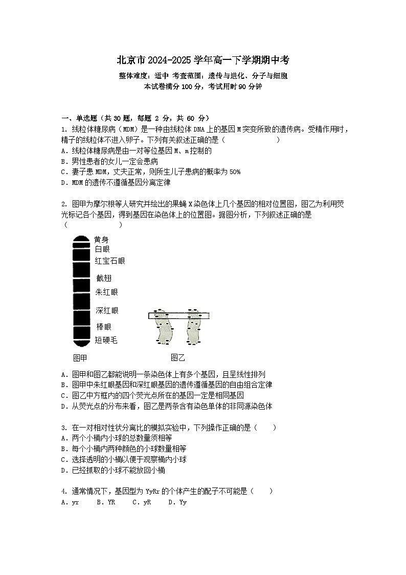北京市2024-2025学年高一下学期期中考生物试卷+答案第1页