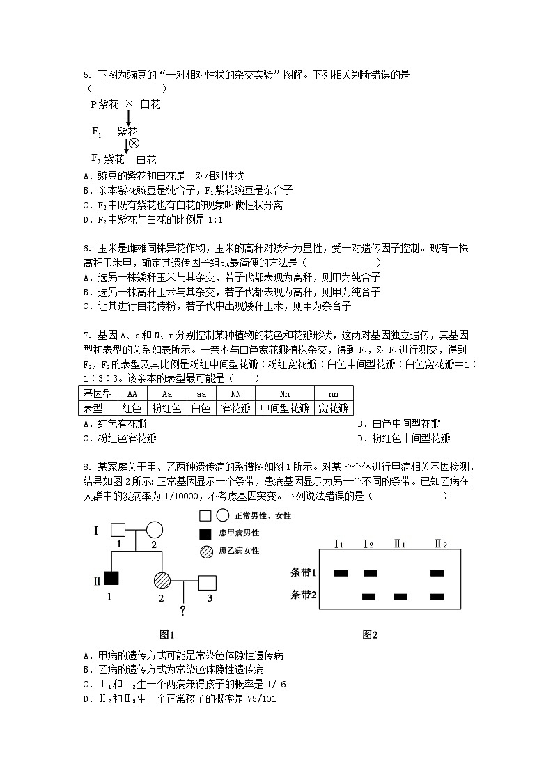 北京市2024-2025学年高一下学期期中考生物试卷+答案第2页