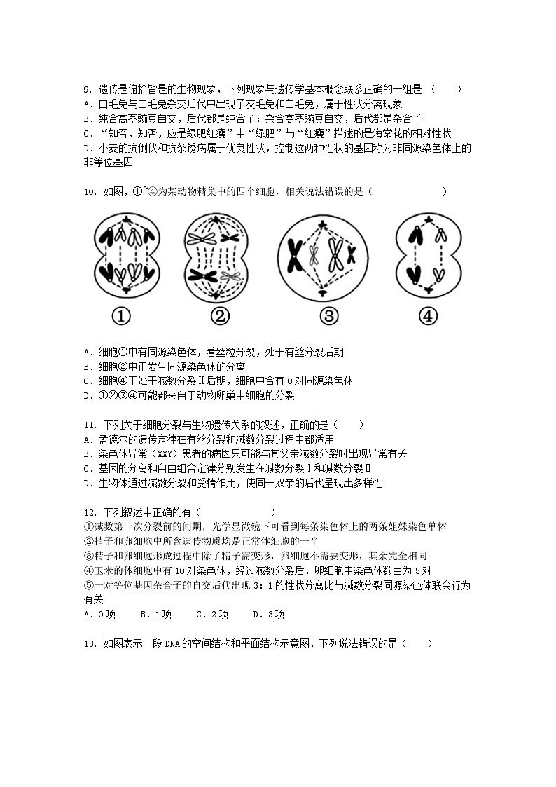 北京市2024-2025学年高一下学期期中考生物试卷+答案第3页