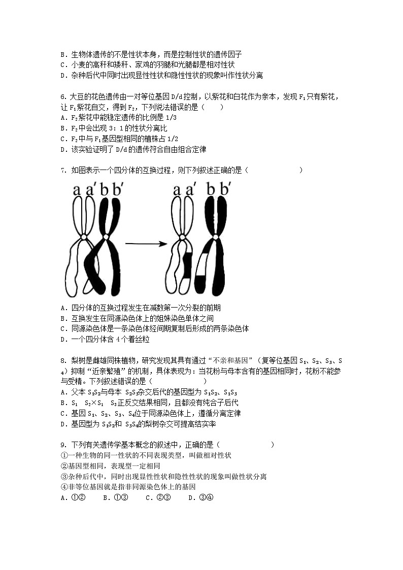 河北省衡水市2024-2025学年高一下学期期中考生物试卷+答案第2页