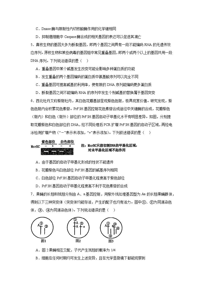 2025届甘肃省高三第二次诊断生物试题（无答案）第2页