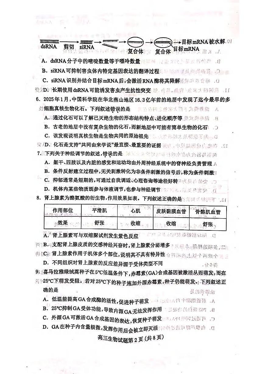 生物丨河北省保定市2025届高三下学期4月一模考试生物试卷及答案第2页
