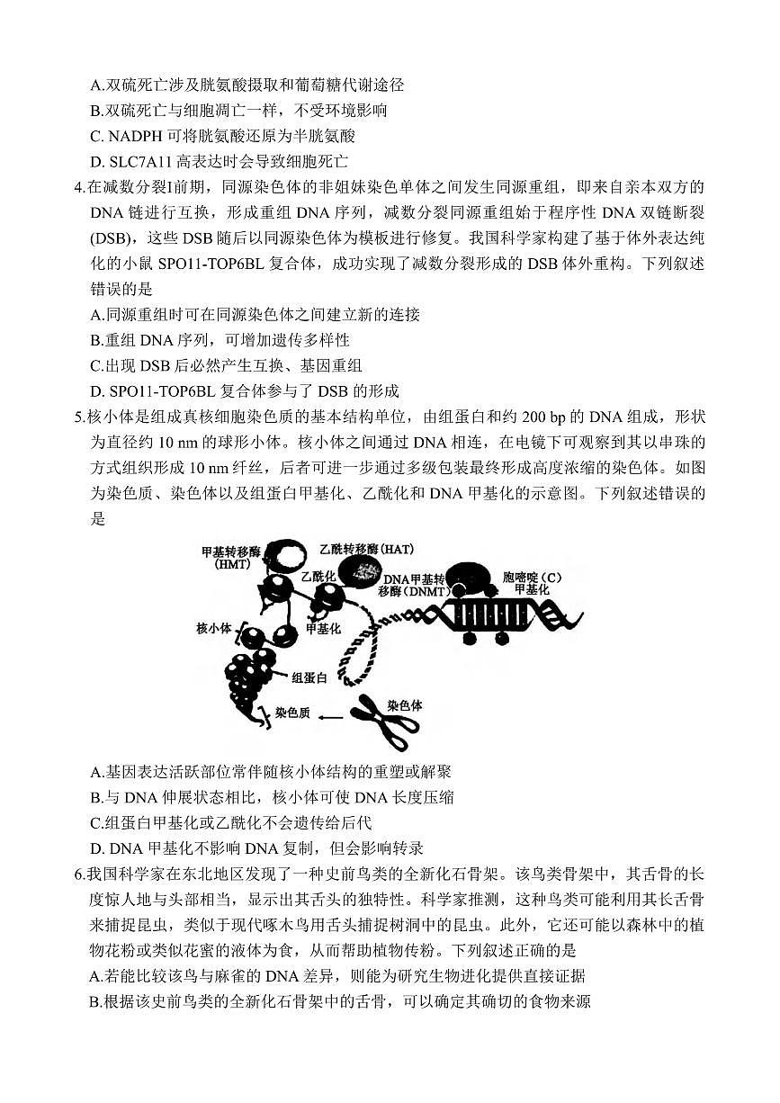 生物丨衡水金卷2025届高三下学期4月模拟考生物试卷及答案第2页