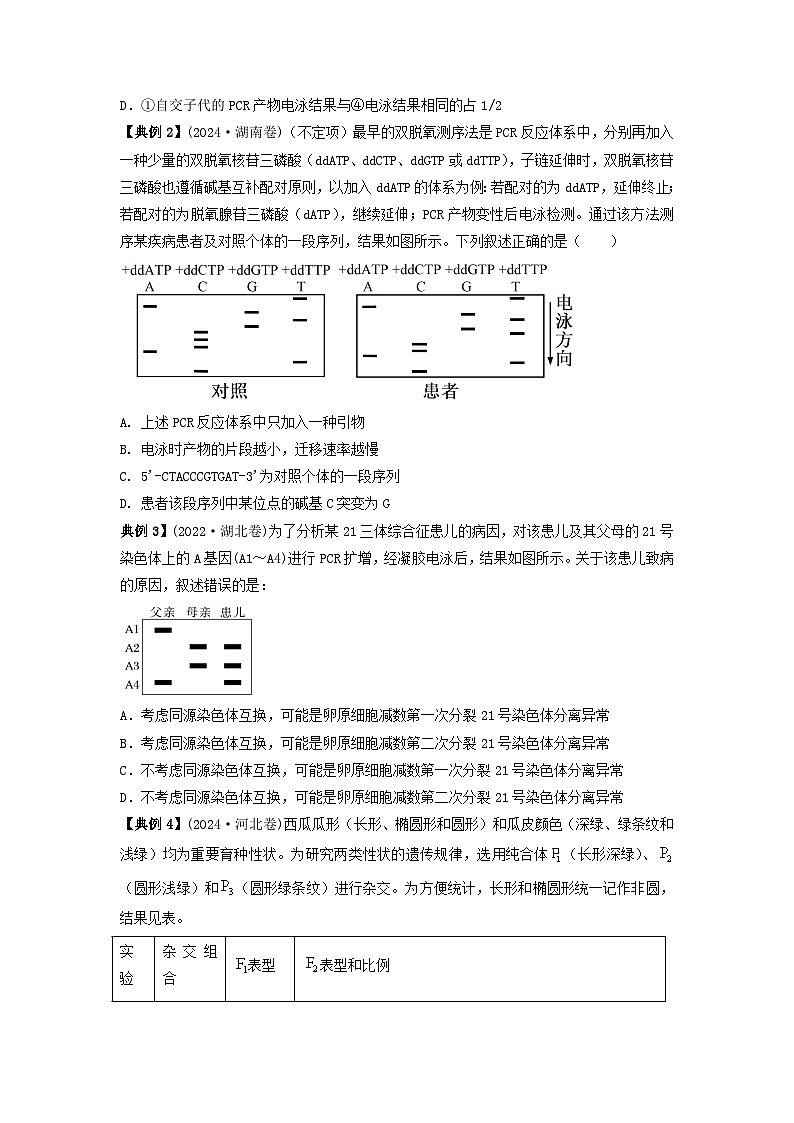 2025年高考生物二轮复习：电泳图谱与遗传系谱图、基因工程综合解读 讲义（含练习题及答案）第2页