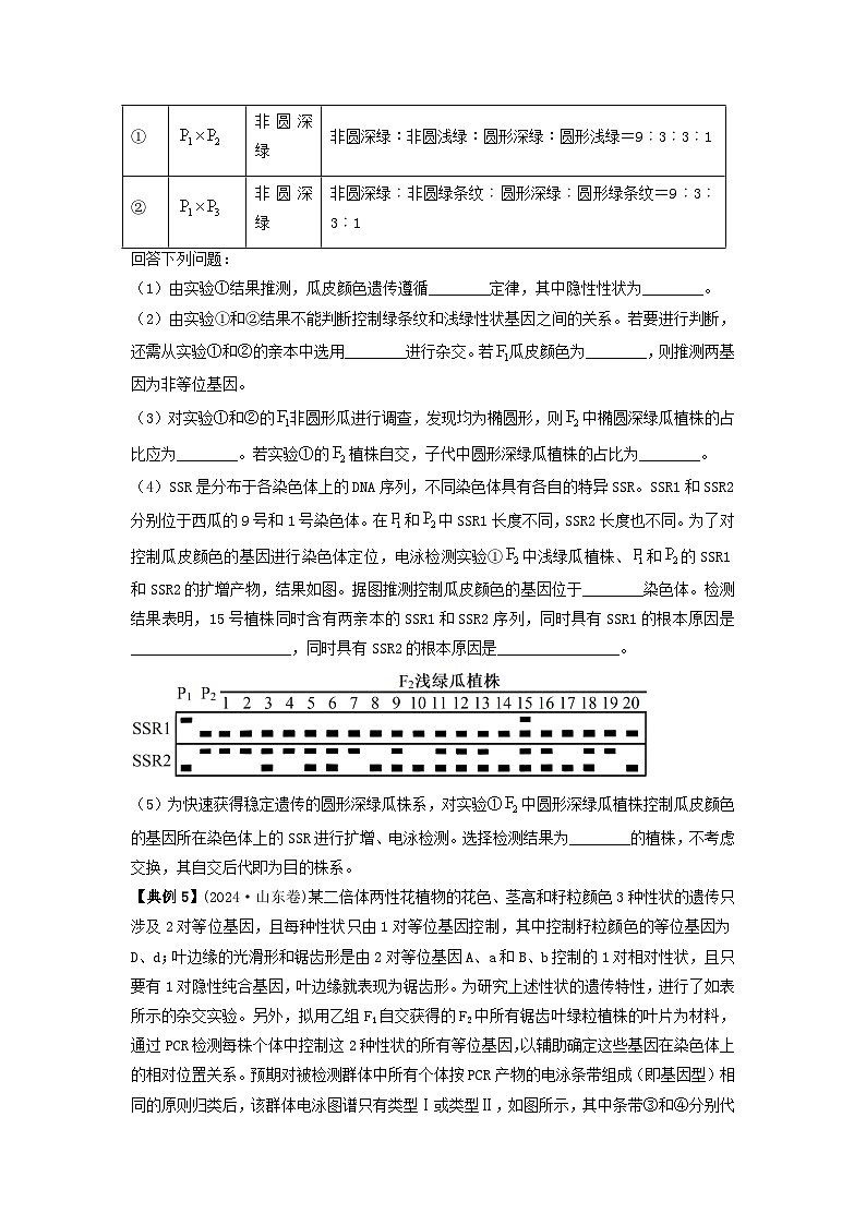 2025年高考生物二轮复习：电泳图谱与遗传系谱图、基因工程综合解读 讲义（含练习题及答案）第3页