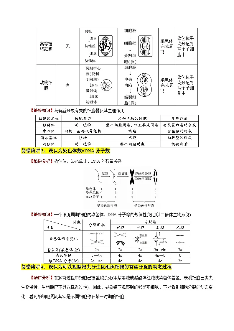 2025年高考生物考试易错题（新高考通用）易错点07细胞有丝分裂与减数分裂易错对比(过程、图表、图象)（6大陷阱）（学生版）第2页
