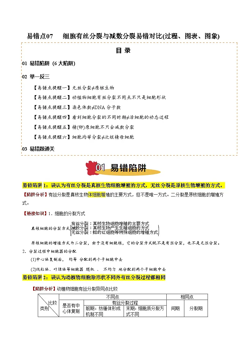 2025年高考生物考试易错题（新高考通用）易错点07细胞有丝分裂与减数分裂易错对比(过程、图表、图象)（6大陷阱）（教师版）第1页
