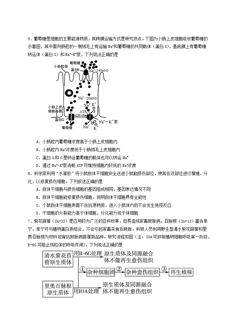 江苏省扬州市高邮市2023_2024学年高二生物下学期5月月考试题第2页