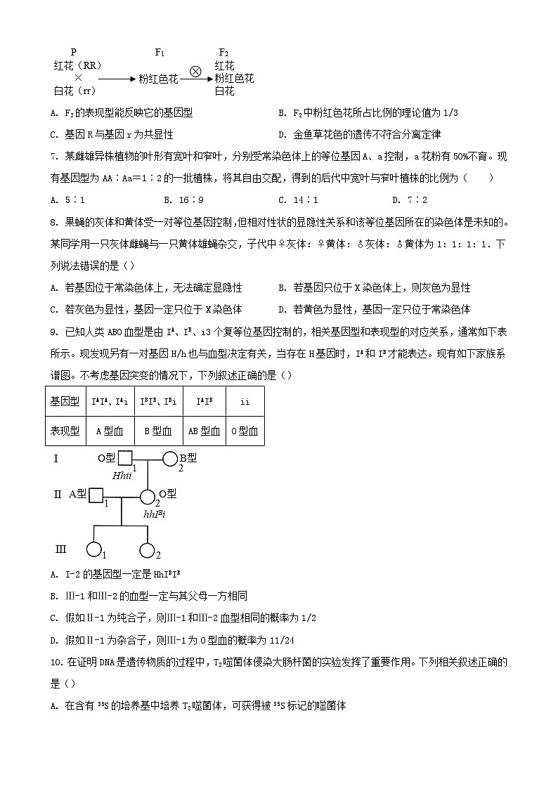 江苏省扬州市高邮市2023_2024学年高一生物下学期5月月考试题含解析第2页