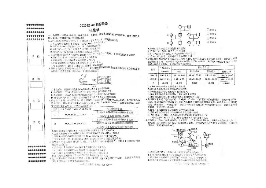 江西省南昌市“NCS”2025届高三高考模拟第二次模拟-生物试题+答案第1页