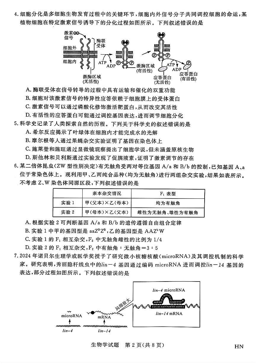 金科新未来2025届高三下学期4月考大联考-生物试题+答案第2页